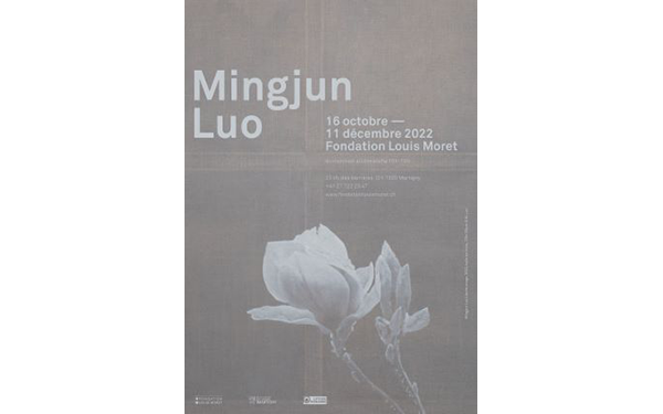 Visite de l'exposition de Mme LUO Mingjun