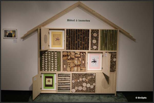 Collection de l'art brut - Les collages de DING Liren