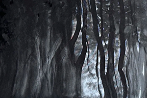 7.3.2026-4.4.2026 - Exposition de Florica MARIAN à Xiamen